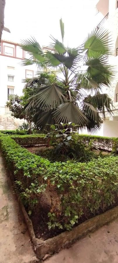 Ap370 - Bahia Appartement *